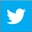 Twitter Icon